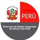 Dirección de Redes Integradas de Salud Lima Este-min